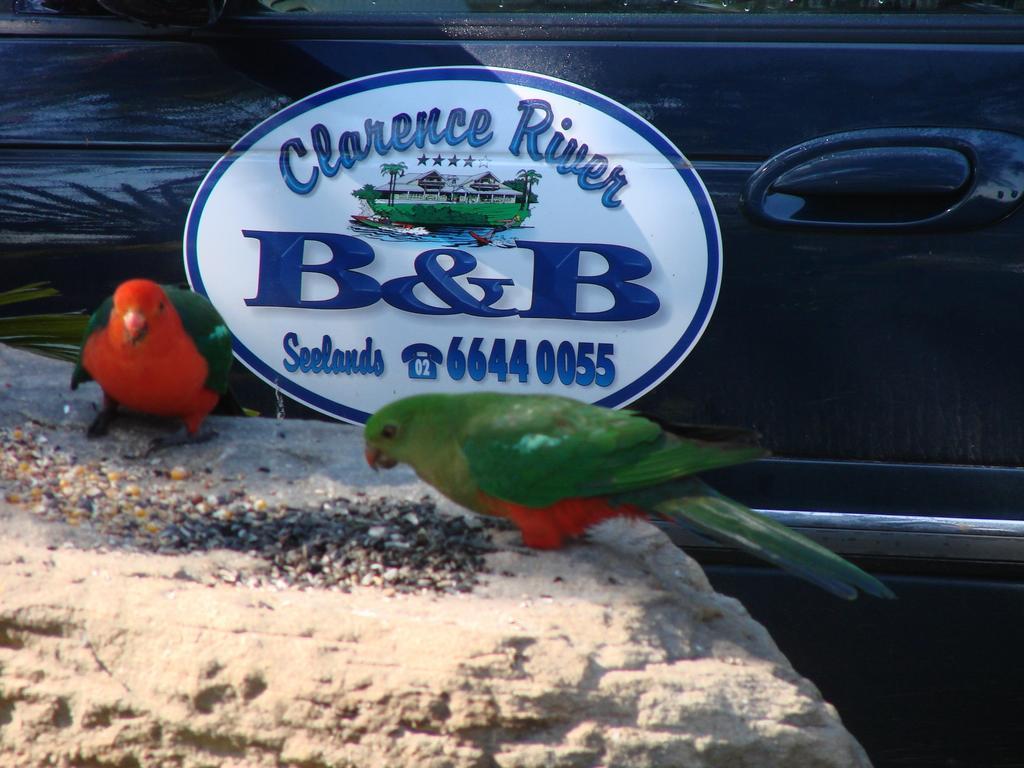 Clarence River Bed & Breakfast Графтон Экстерьер фото